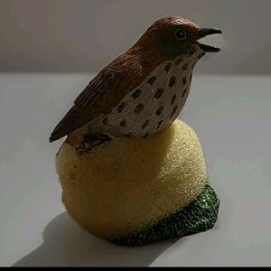 Wood Thrush Danbury Mint New